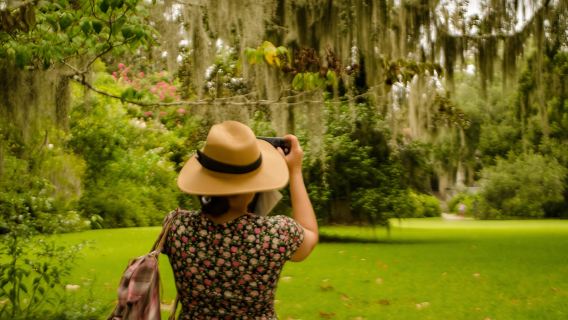 Charleston: Magnolia Plantation con trasporto e tour della città