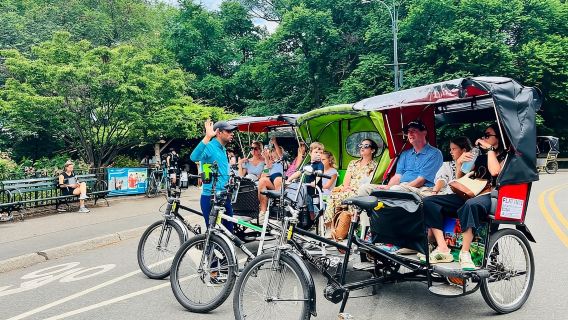 NYC: Tur Becak Pribadi Central Park / PENJEMPUTAN DARI MUSEUM