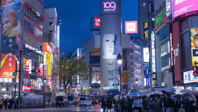 東京：澀谷與新宿夜間私人步行導賞團