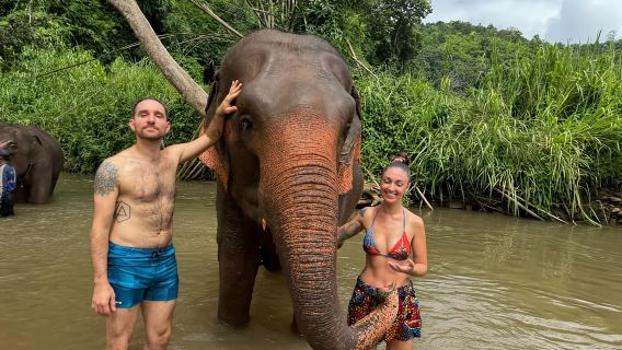 Chiang Mai: Elefantenschutzgebiet & Wasserfall-Gruppentour
