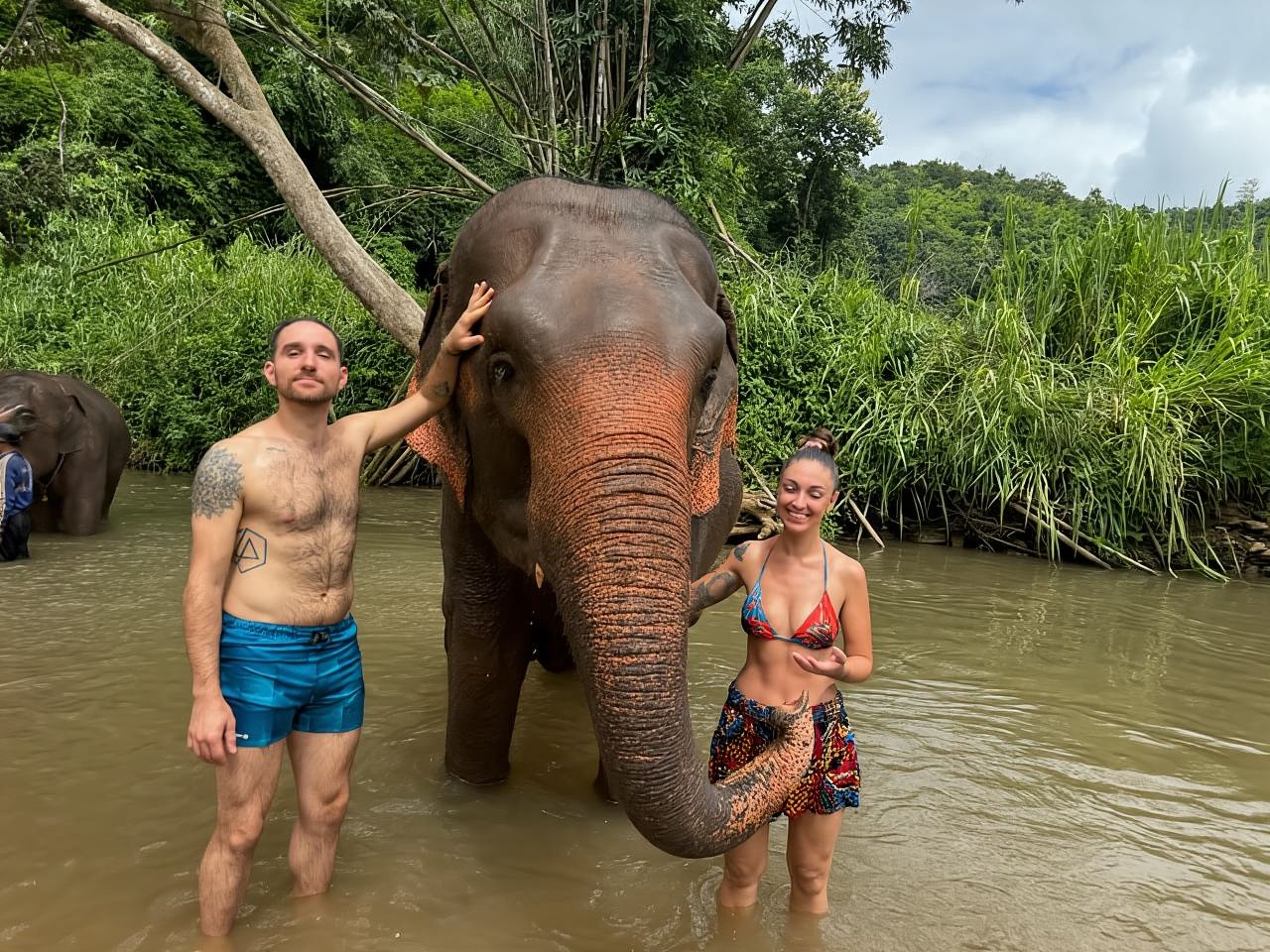 Chiang Mai: Elephant Sanctuary & Waterfall Group Tour