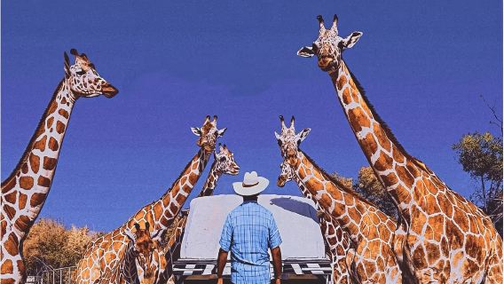 Safari Park Kanchanaburi + RIVER KWAI BRIDGE + Death Railway 1-day tour