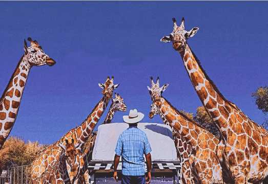 [Private Transfer] Safari Park Kanchanaburi + RIVER KWAI BRIDGE + Death Railway day tour|Private tour
