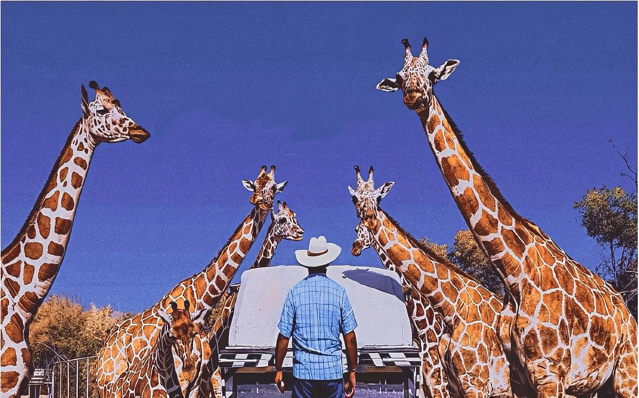 [Private Transfer] Safari Park Kanchanaburi + RIVER KWAI BRIDGE + Death Railway day tour|Private tour