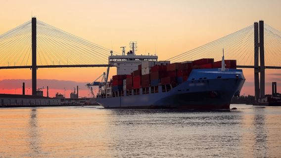 서배너: 선셋 돌고래 관찰 생태 투어(보트)