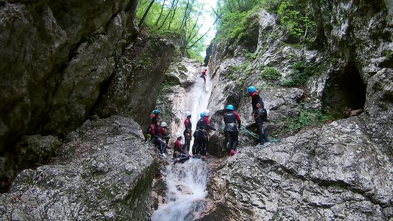 Desde Bovec: Excursión de medio día de barranquismo en el valle del Soča