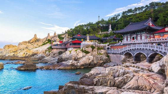 Tour Autentico di Pusan: Scopri le Attrazioni Principali in un Giorno