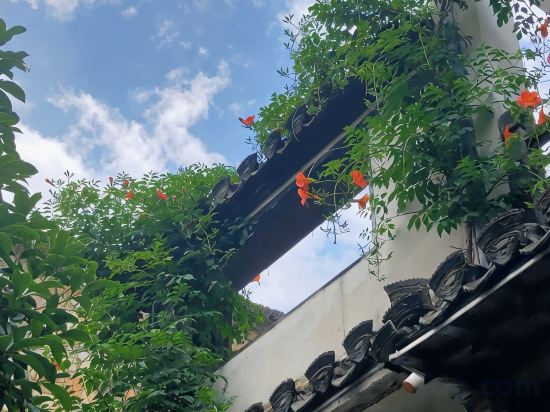 Others 3, Fengming Shanju Hongcun Sleepless Homestay, Huangshan