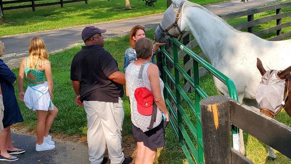 Unique Horse Farm Tours with Insider Access to Private Farms