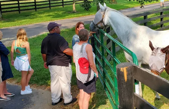 獨特的馬場之旅，帶您深入私人農場