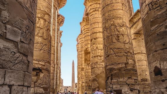 Tour privato a Luxor: Tempio di Luxor e Tempio di Karnak