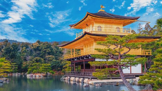 Recorrido cultural por Kioto: Pabellon Dorado + Templo Kiyomizu-dera + Fushimi Inari-Taisha (salida desde Osaka o Kioto)
