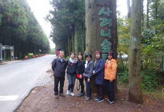 Jeju Island 2-Day Private Tour with Experienced Driver: What to Expect
