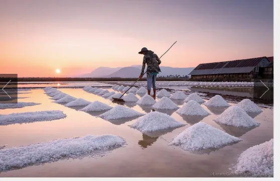 貢布旅遊 - 胡椒農場、洞穴、秘密湖泊、螃蟹市場及鹽田...