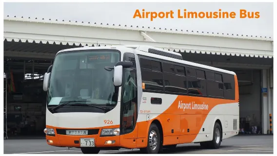 [Limited Time Offer] Limousine bus Haneda Airport to/from Shinjuku and Ikebukuro Area (Late Night and Morning departure time)