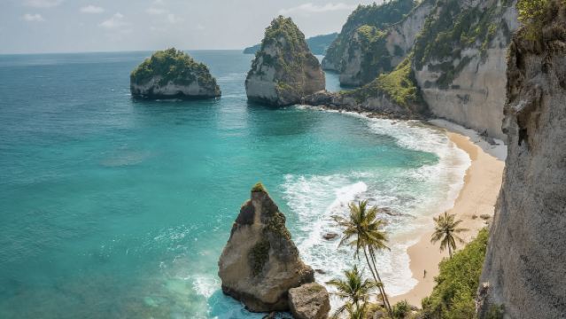 Excursión de un día por la costa este de Nusa Penida con traslado al hotel, almuerzo incluido y visita a la playa Diamond y el árbol instagrameable