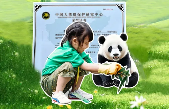 熊貓義工親子一日遊 【製作窩窩頭·體驗鏟屎官日常｜都江堰中華大熊貓苑（原熊貓樂園）/臥龍神樹坪/碧峰峽熊貓基地三選一】