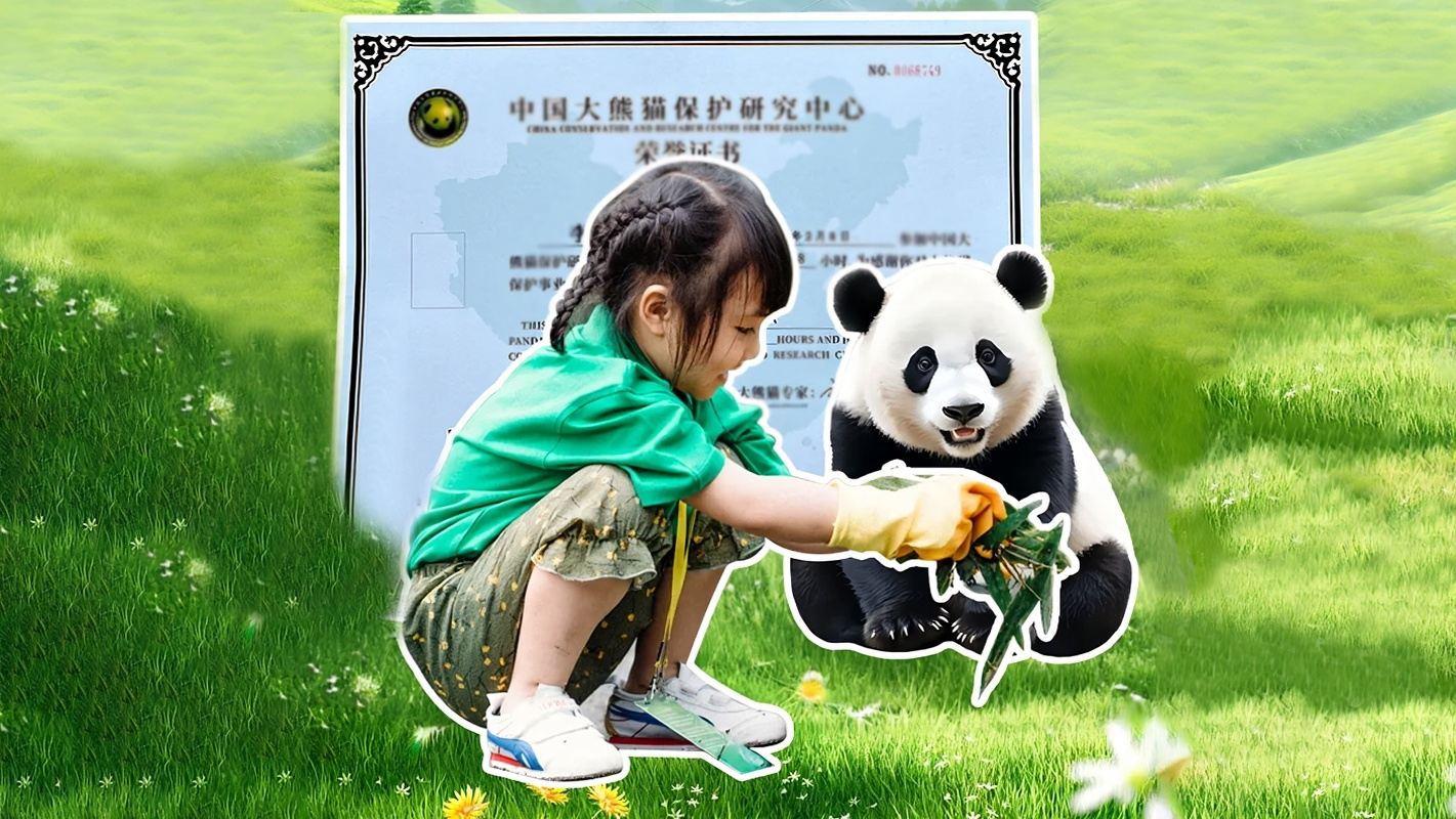 熊貓義工親子一日遊 【製作窩窩頭·體驗鏟屎官日常｜都江堰中華大熊貓苑（原熊貓樂園）/臥龍神樹坪/碧峰峽熊貓基地三選一】