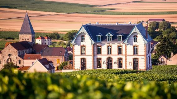 1-day tour of French Champagne Estate Vineyards with Traditional Lunch - Departing from Reims