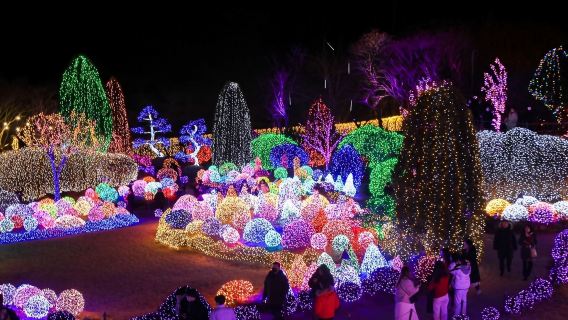 Eobi Valley Glacier x Nami Island x Le Petit Prince Italian Village x Five-Colored Star Garden Morning Calm Arboretum