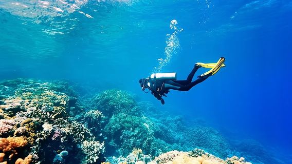 Kemer Scuba Diving with transfer from Antalya