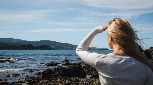 Discover Wellington 3 hour City Tour Day Tours