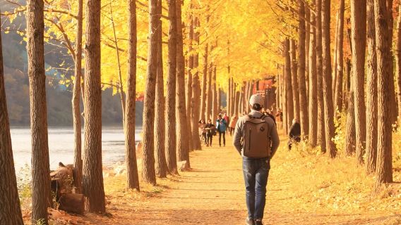 Transfer pulang pergi Pergi Seoul - Pulau Nami