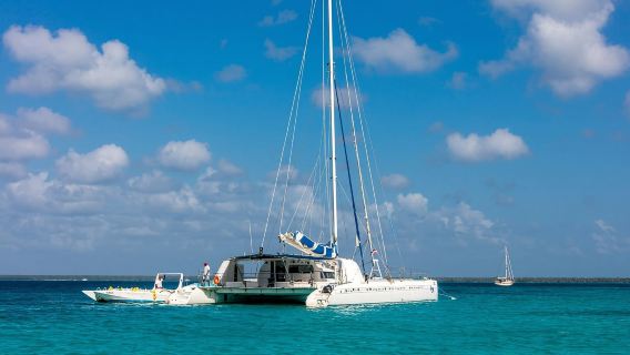 Bayahibe：紹納島雙體船巡遊（附天然泳池）