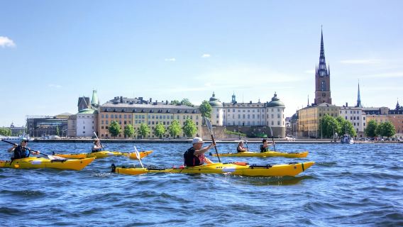 Stoccolma: tour guidato della città in kayak e pasto facoltativo di mezza estate