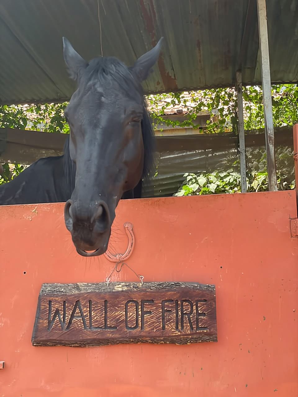 Nairobi: Karura Forest Horseback Riding Tour