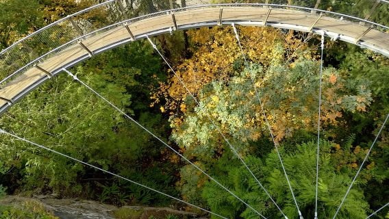 CAPILANO BR+GROUSE Mtn+STANLEY P+DAM+LAKE+HATCHERY/CAR/9in1