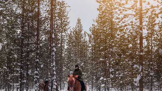 Saariselkä: Arctic Trail Horse Riding Tour
