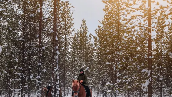 Saariselkä: Arctic Trail Horse Riding Tour