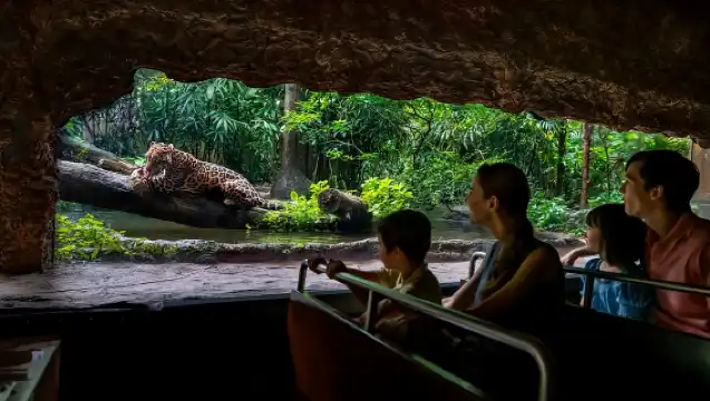 Singapore: River Wonders Entry Ticket