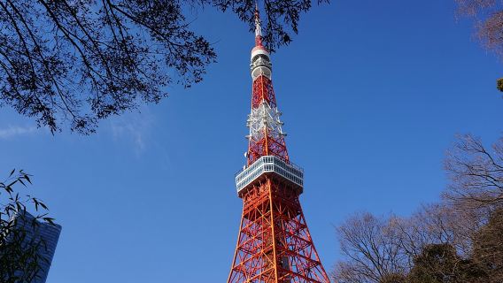 Dove vuoi tu! Tour personalizzato a Tokyo in 2 ore/3 ore/5 ore