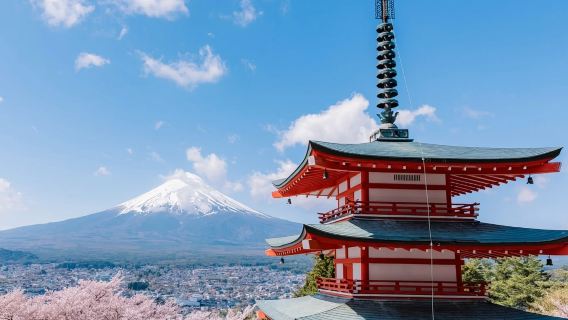 富士山一日ツアー：新倉山浅間公園、忍野八海、河口湖