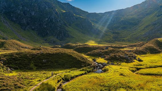 From Inverness: Cairngorms National Park and Whisky Tour