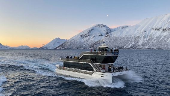 Nordfjord Catamaran Cruise from Tromsø, Norway (Learn about Norwegian fishing culture)