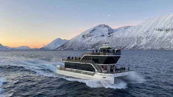 Nordfjord Catamaran Cruise from Tromsø, Norway (Learn about Norwegian fishing culture)