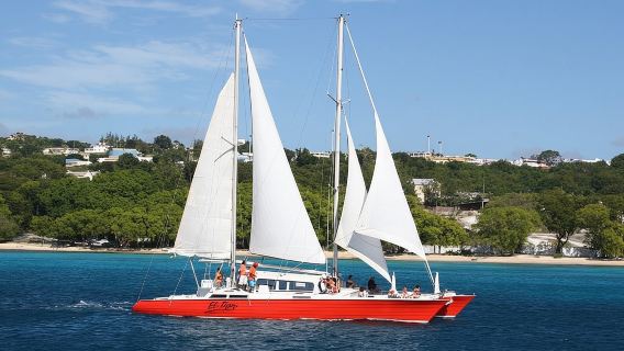 Barbados Catamaran Turtle and Shipwreck Snorkeling Cruise