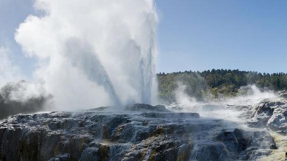 Rotorua Small-Group Day Tour from Auckland