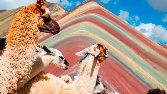 Excursion to Rainbow Mountain Full Day Optional Red Valley