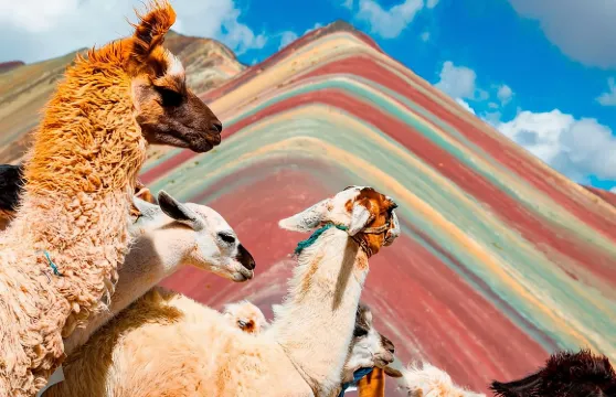 彩虹山一日遊（可選紅谷行程）