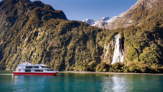 Excursion en autocar et croisière à Milford Sound au départ de Te Anau : vues imprenables et déjeuner inclus