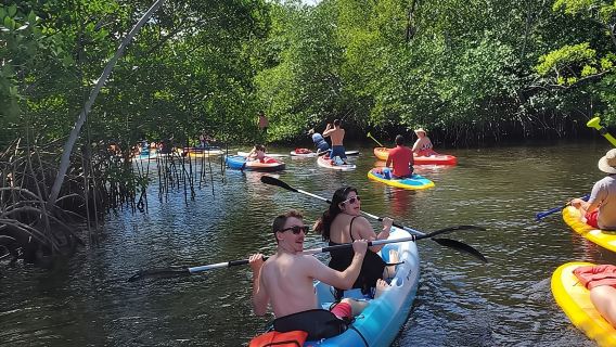 Dayung ECO Bandar Pulau dan Pengajaran kepada Pemeliharaan Alam Semula Jadi 9.3 Ekar