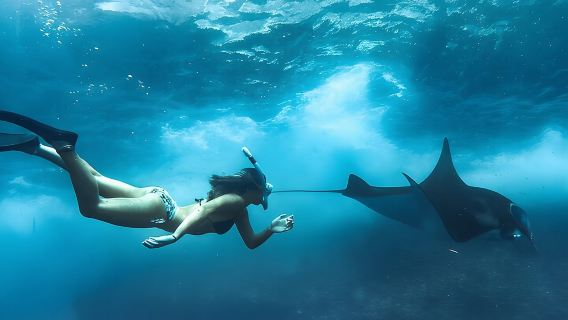 Snorkeling In Nusa Penida Island With Manta Ray From Bali