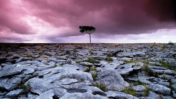 Cliffs of Moher and the Burren tour from Galway City