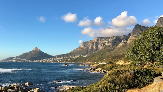 Full-Day best of the Cape, Cape of Good Hope and Stellenbosch Tour