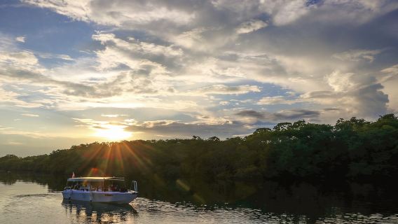 Excursión de medio día a los manglares de Semporna con cena
