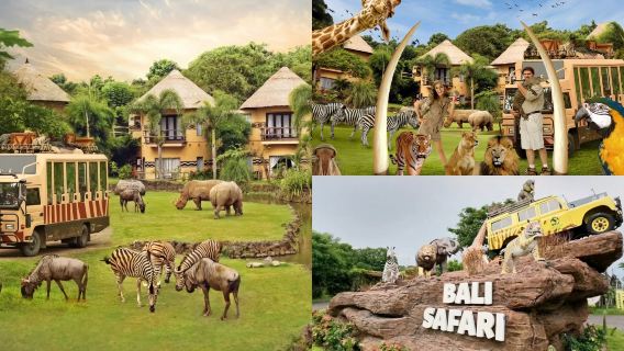 All Inclusive : Day Tour Bali Safari Journey with Animal Show & Elephant Feeding